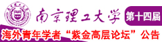 欧美草逼大全套南京理工大学第十四届海外青年学者紫金论坛诚邀海内外英才！